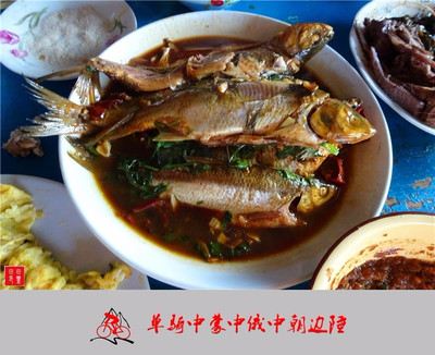 老驥伏櫪,志在千里,單騎中蒙中俄中朝邊陲。