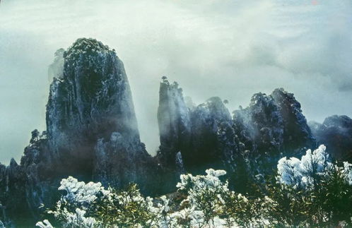 天人影像專(zhuān)訪(fǎng) 劉學(xué)玉 老驥伏櫪,志在千里,為地方攝影事業(yè)發(fā)揮余熱