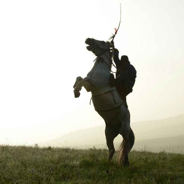 學海無涯，伏櫪前行